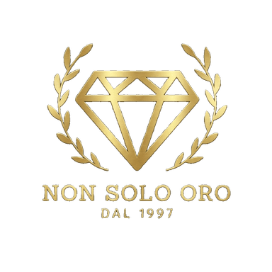 Logo Non Solo Oro